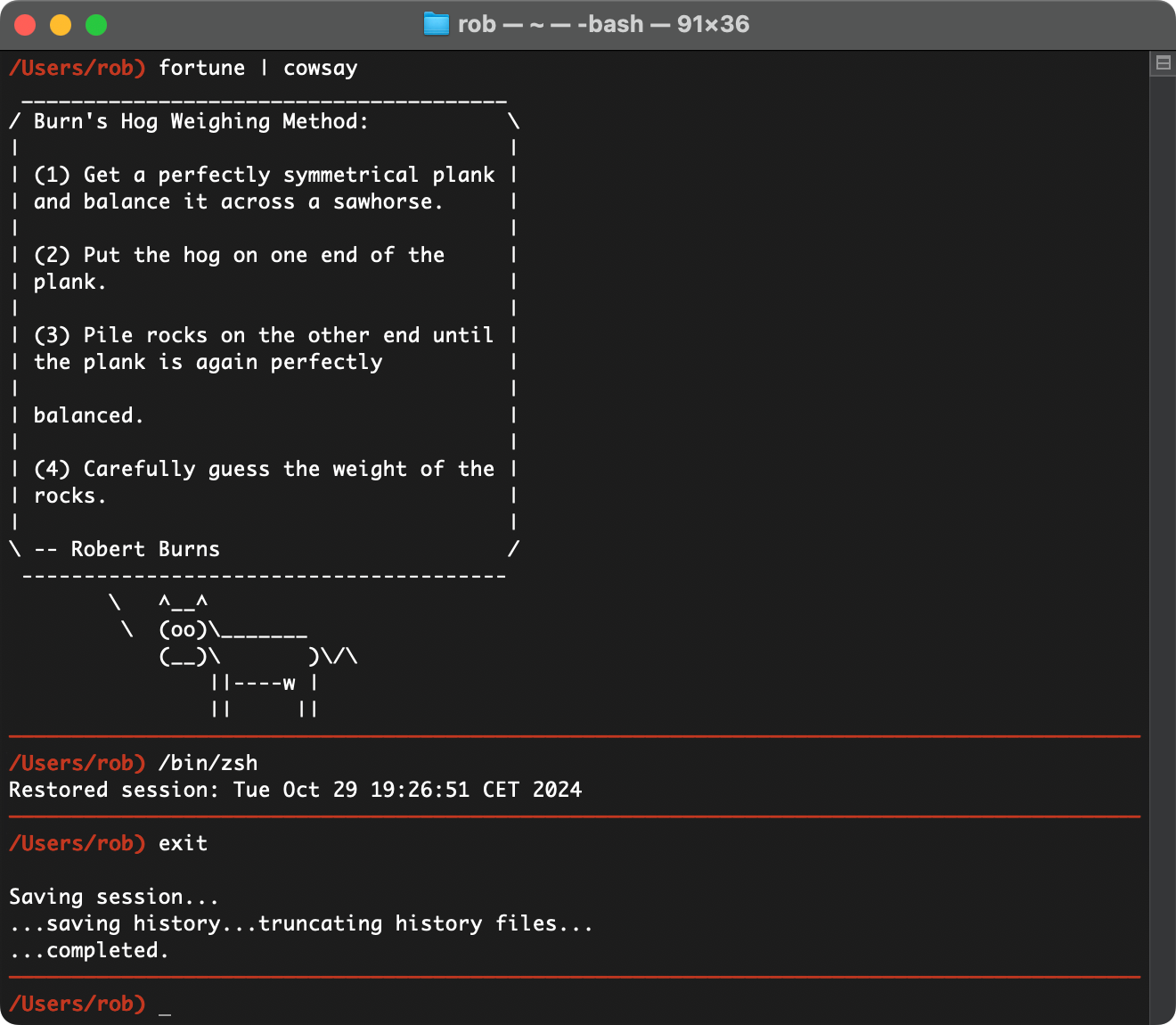 Bild eines macOS Terminals mir roter Linie in bash und zsh